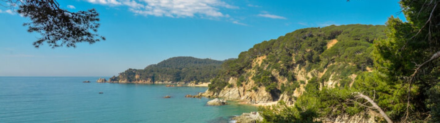 Viviendas de obra nueva Costa Dorada