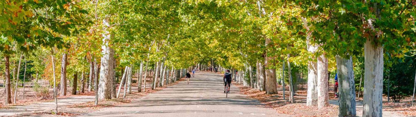 Viviendas de obra nueva Pozuelo de Alarcón