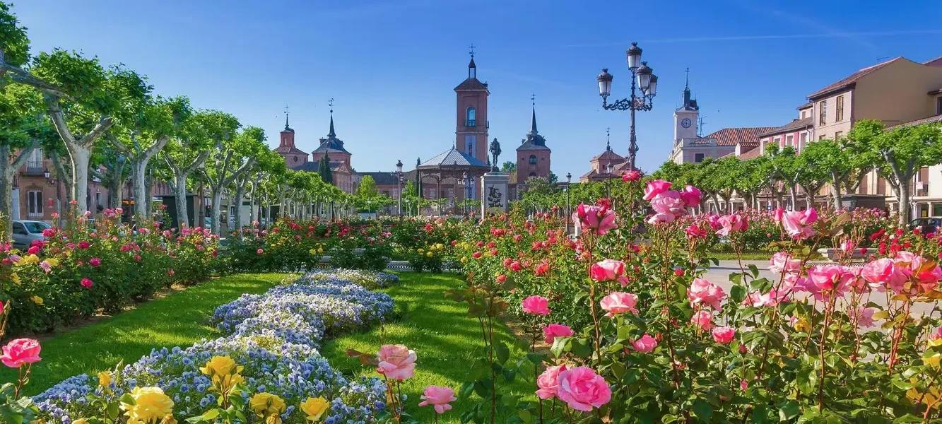 Hylé - Obra nueva en Alcalá de Henares
