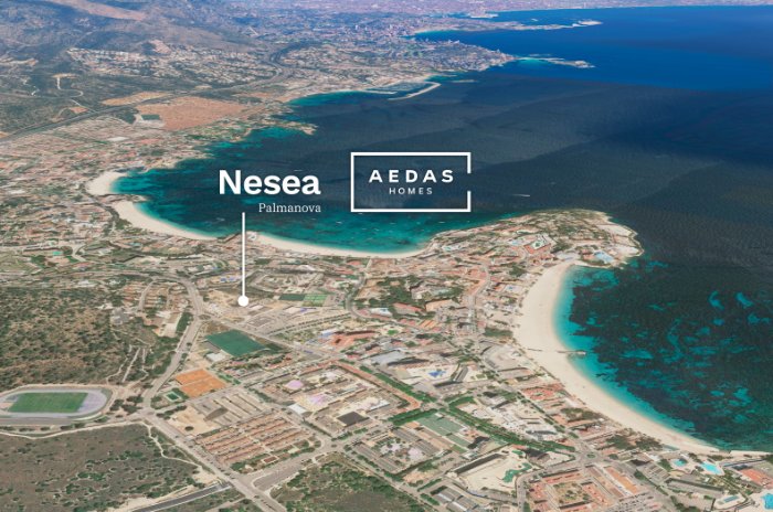 mapa nesea mapa nesea