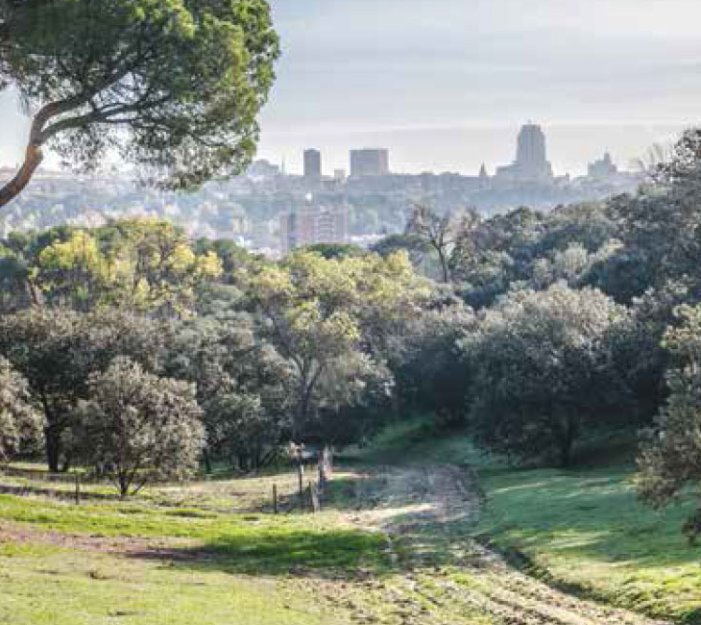 Image 8 of Development Altos de la Reserva - Boadilla del Monte