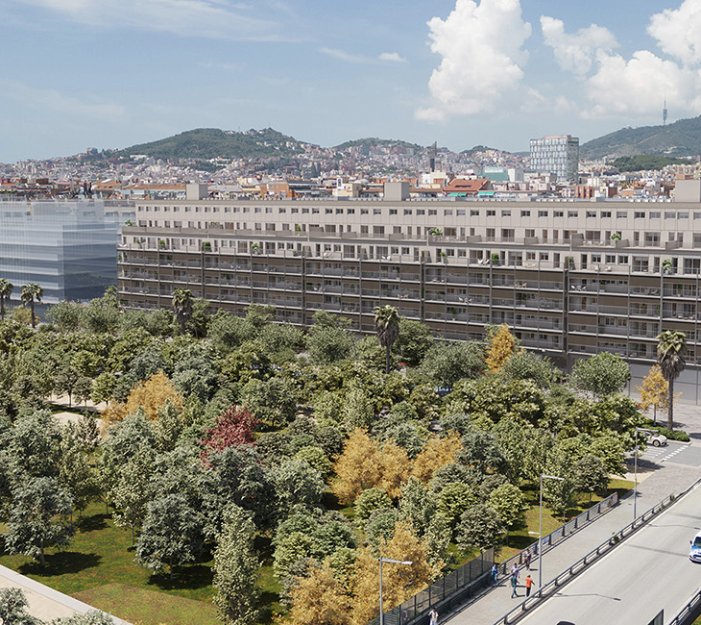 Image 6 of Development Leblich - Barcelona capital