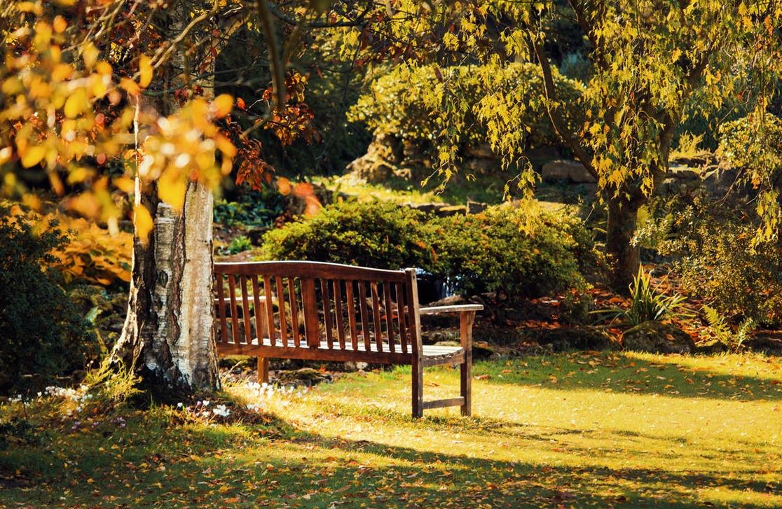 Cuidados del jardín en otoño