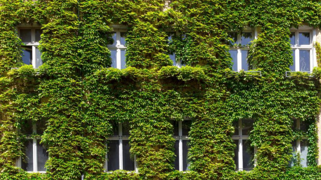 Los materiales de construcción sostenibles reducen el impacto ambiental de los edificios
