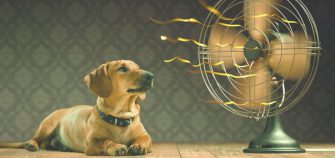 como combatir el calor en casa