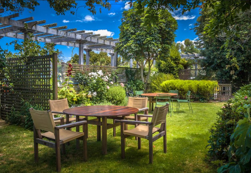 cuidados del jardín en verano