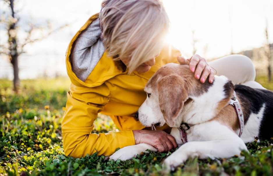 ¿Cómo puede afectar la Ley de Bienestar Animal a tu vivienda?