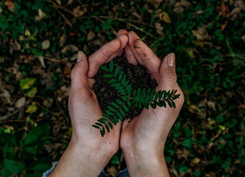esg-sostenibilidad esg-sostenibilidad